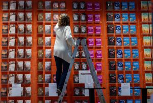 Frau steht auf einer Leiter vor einem großen Bücherregal